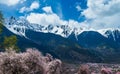 The early spring scenery of the Qinghai Tibet Plateau