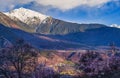 The early spring scenery of the Qinghai Tibet Plateau