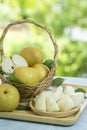 Snow pear or Shingo pear over green natural Blur background. Royalty Free Stock Photo