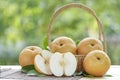 Snow pear fruit in wooden basket, Fresh Nashi pear or Korean pear fruit in the basket over green natural Blur background. Royalty Free Stock Photo