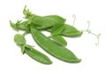 Snow Peas