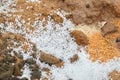 Snow pellets, graupel or soft hail on the ground. Form of precipitation Royalty Free Stock Photo