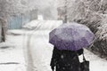 Snow on people on umbrellas who walk down the street during a snowfall Cityscape Royalty Free Stock Photo