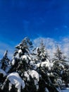 Snow photo Royalty Free Stock Photo