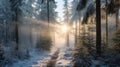 Ethereal Snowy Forest Path A Captivating Journey Through Nature\'s Beauty Royalty Free Stock Photo