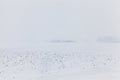 Snow drifts in winter field Royalty Free Stock Photo