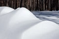 Snow pile in the forest in a bright winter afternoon