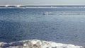 Snow pile, hill. Large snow drift  on a blue sky background,  outdoor view of ice blocks at frozen finland lake in winter Royalty Free Stock Photo