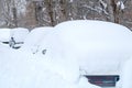 Snow piles that cover cars standing in a row