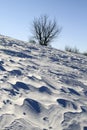 Snow Plain Blown by a Wind Royalty Free Stock Photo