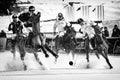 Snow Polo Cup 2017 Sankt Moritz Royalty Free Stock Photo