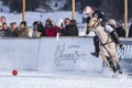 Snow Polo Cup 2017 Sankt Moritz Royalty Free Stock Photo