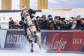 Snow Polo Cup 2017 Sankt Moritz Royalty Free Stock Photo