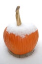 Snow on the Pumpkin 2