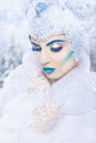 Snow queen Royalty Free Stock Photo