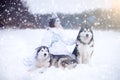 Snow-queen. Fairy tale girl with Huskies or Malamute. Royalty Free Stock Photo