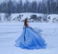 Snow Queen in a luxurious, lush dress with a long train. A girl walks on a frozen lake covered with snow. A postal bird