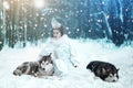 Snow queen in winter. Fairy tale girl with Malamute Royalty Free Stock Photo