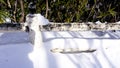 Snow and railing in the walkway forest Noboribetsu onsen Royalty Free Stock Photo