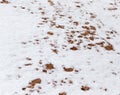 Snow on red clay in nature Royalty Free Stock Photo