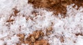 Snow on red clay in nature Royalty Free Stock Photo