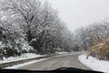 Winter driving, snow covered trees lining rural road