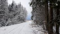 Snow road in the forest between the trees. Russian winter Royalty Free Stock Photo