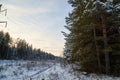 Snow road in spruce forest in winter day. Nice nature ladscape