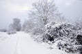 The snow road to the little village in November