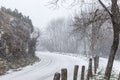 Snow, road and tree Royalty Free Stock Photo