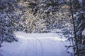 Snow road through the winter forest. Pass through a dense winter forest Royalty Free Stock Photo
