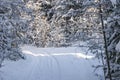 Snow road through the winter forest. Pass through a dense winter forest Royalty Free Stock Photo