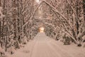 Snow road through the winter forest. Pass through a dense winter forest Royalty Free Stock Photo