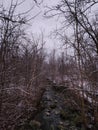 Snow and Running River Royalty Free Stock Photo