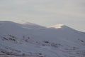 Snow in desert sahara Royalty Free Stock Photo