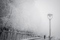 Snow scene Dense fog Rime Songhua River Royalty Free Stock Photo