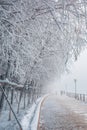 Snow scene Dense fog Rime Songhua River Royalty Free Stock Photo