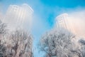 Snow scene Dense fog Rime Songhua River Royalty Free Stock Photo