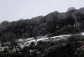 Snow scene with ice on frozen dark forest tree tops and hillside fields