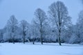 Snow scene Maidenhead Thicket Royalty Free Stock Photo