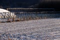 Snow-covered landscape Royalty Free Stock Photo