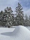 Snow Shadow Rock and Winter Pine Forest