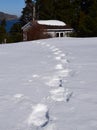 Snow shoe tracks in deep snow at the cabin by the ocean cabin