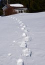 Snow shoe tracks in deep snow