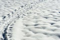 Snow shoe trail