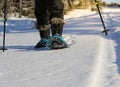 Snow shoes on a winter trail Royalty Free Stock Photo