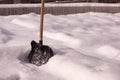 Snow shovel stands in the snow. winter frosty day after snowfall