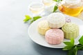 Snow skin sweet and savory traditional Chinese mooncakes