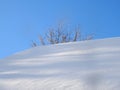 The snow and sky, a dazzling white and pale blue