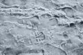 Snow slush footprints Royalty Free Stock Photo